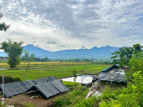 Traditional Farm Hut in the Middle of Rice Fields with Mountain View