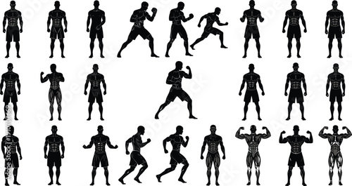 Vector silhouette set of muscular male athletes featuring bodybuilding poses boxing stances running actions and anatomical muscle displays for fitness and sports training concepts,