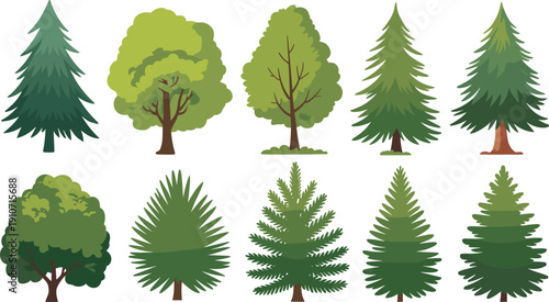 Collection of Green Evergreen and Deciduous Tree Illustrations Including Pine Fir Spruce Woodland and Forest Elements Isolated on White Background for Landscape Design Projects
