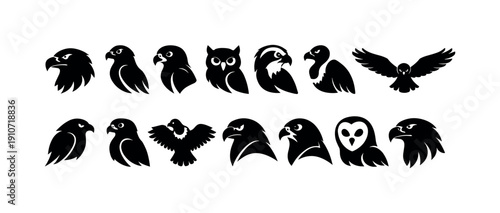 Collection of black silhouette icons representing various birds of prey and owls