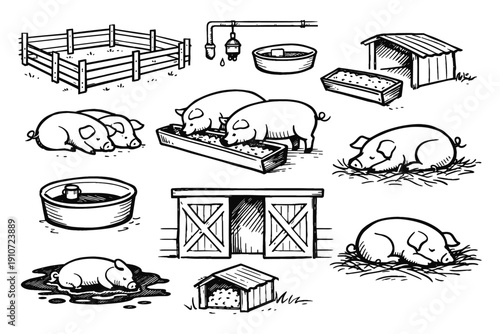 Farm pigs and their environment: feeding, shelter, water troughs, and fences