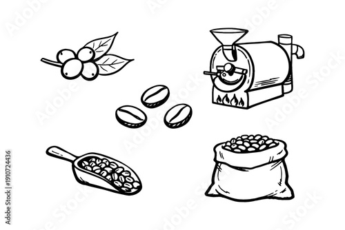 Coffee harvest to roast: beans, berries, brewing process icons in black and white