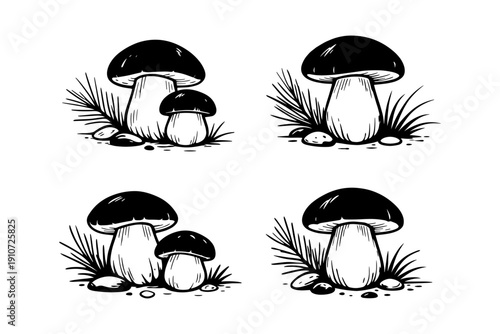 Illustration of four stylized mushrooms with grass and rocks