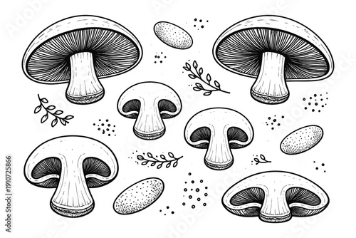 Black and white mushroom pattern with botanical elements