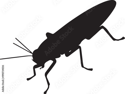 Elegant Locust Silhouette: A sleek, black locust silhouette against a clean backdrop, showcasing the insect's intricate details and graceful form.