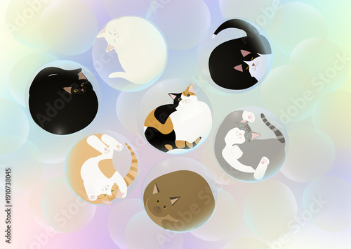 Wallpaper Mural シャボン玉の中の猫 Torontodigital.ca