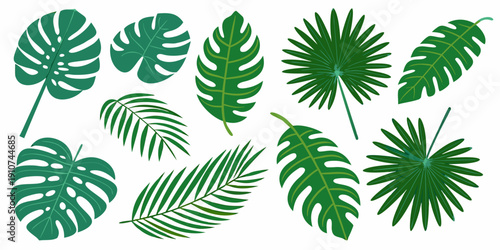 A collection of diverse tropical leaves in varying shades of green