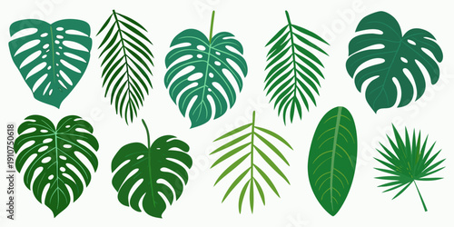 Collection of various tropical leaves in shades of green