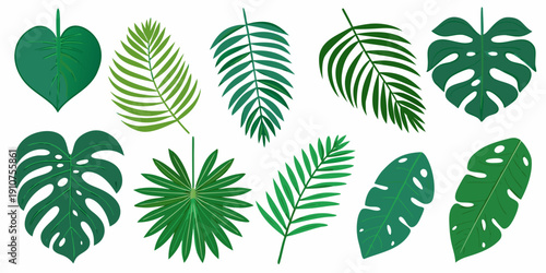 A collection of various tropical leaves in shades of green