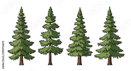 Four Evergreen Pine Trees Isolated on White Background.