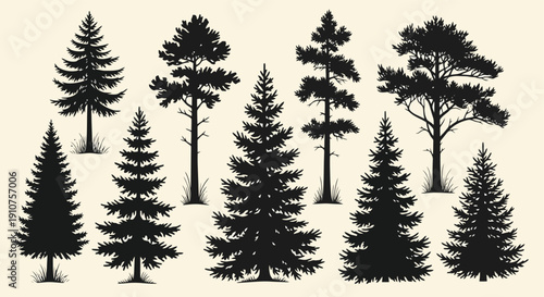 Collection of Diverse Pine and Fir Tree Silhouettes.