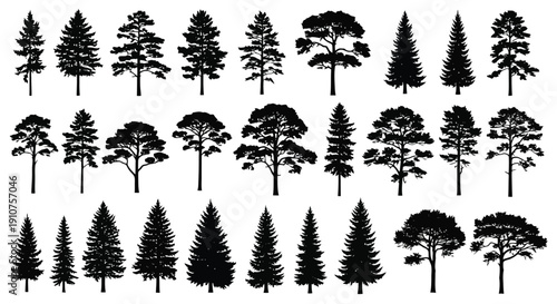 Collection of Diverse Pine and Fir Tree Silhouettes.