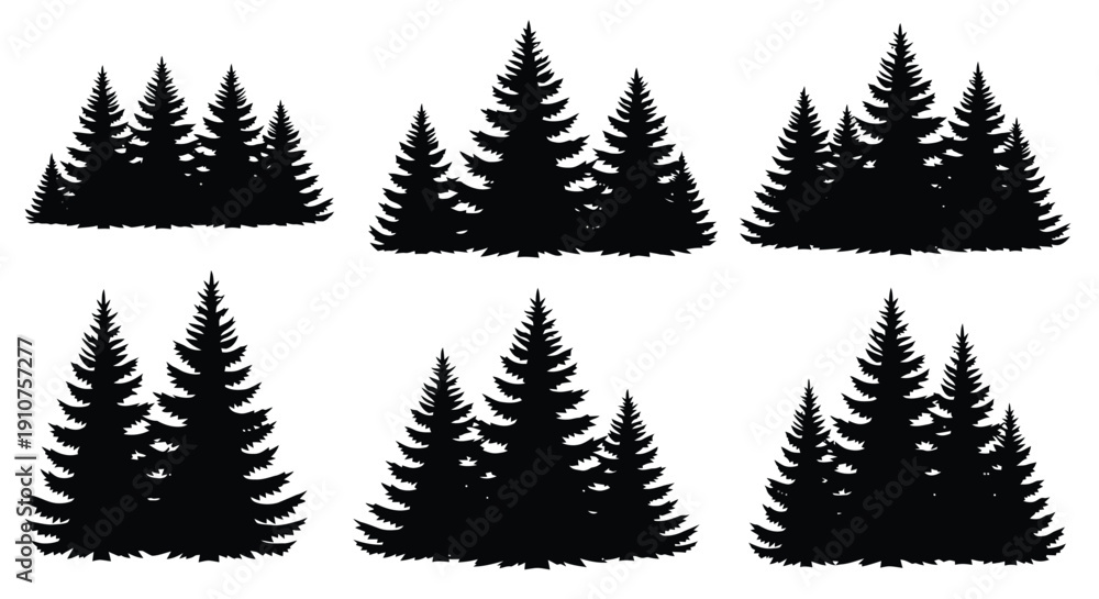 Obraz premium Collection of Black Silhouette Evergreen Pine Trees.