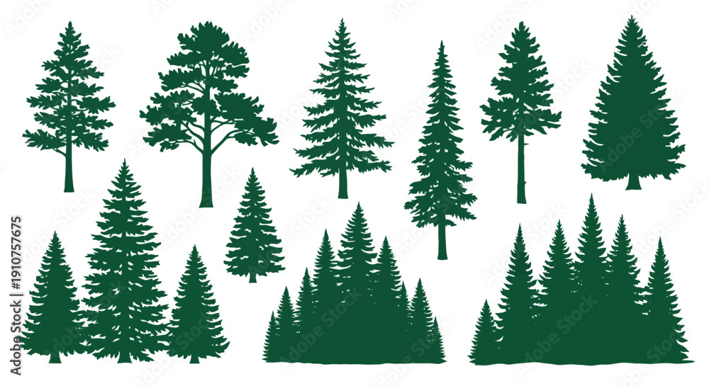 Fototapeta premium Collection of Diverse Evergreen Tree Silhouettes in Dark Green.