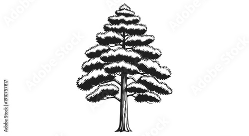 Stylized Black and White Drawing of a Pine Tree.