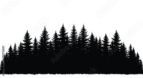 Silhouette of a dense evergreen forest landscape.