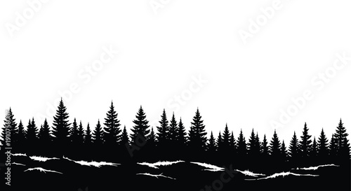 Silhouette of a dense evergreen forest landscape.