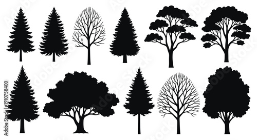 Collection of Diverse Tree Silhouettes in Black and White.
