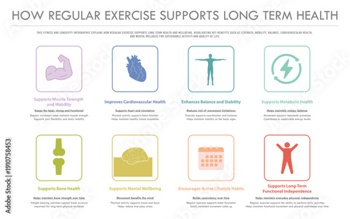 How Regular Exercise Supports Long Term, horizontal infographic illustration about longevity and long-term wellbeing, healthcare and medical science vector.