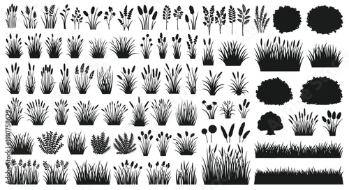 Collection of Black Silhouettes of Various Plants and Grasses.