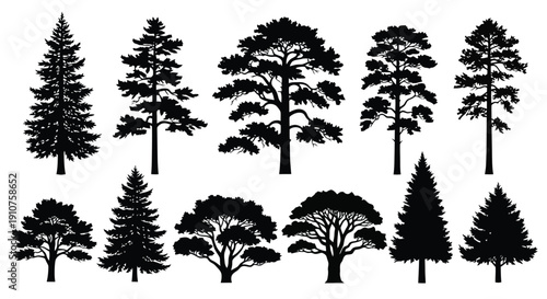 Collection of Diverse Evergreen Tree Silhouettes.