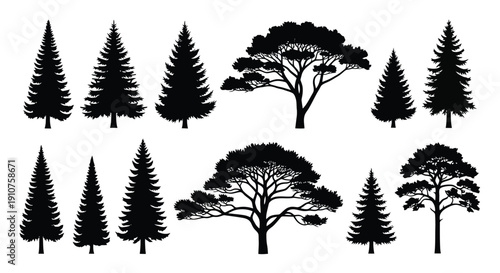 Collection of Diverse Pine and Evergreen Tree Silhouettes.