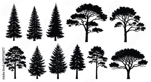 Collection of Diverse Pine and Evergreen Tree Silhouettes.