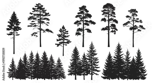 Collection of Pine Tree Silhouettes in Various Sizes.