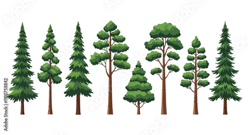 Collection of Diverse Evergreen Trees in Various Shapes.
