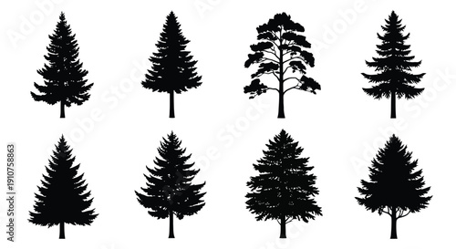 Collection of Diverse Pine Tree Silhouettes in Black and White.