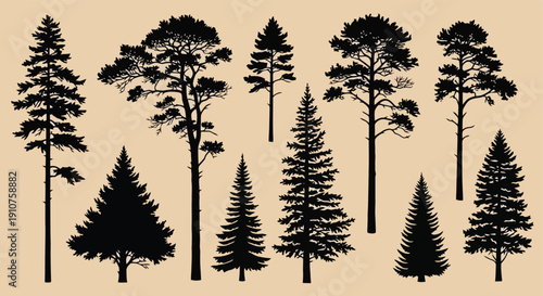 Collection of Diverse Pine and Fir Tree Silhouettes.