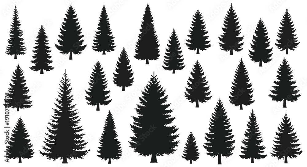 Fototapeta premium Collection of Diverse Evergreen Pine Tree Silhouettes.
