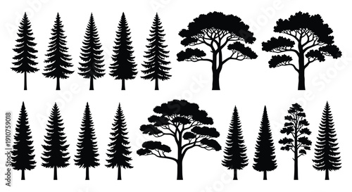 Collection of Diverse Evergreen Tree Silhouettes.