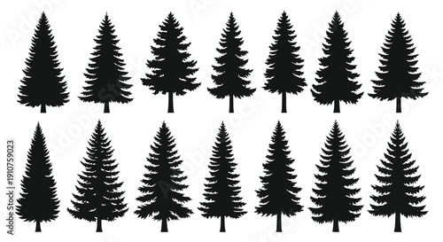 Collection of Evergreen Pine Tree Silhouettes.
