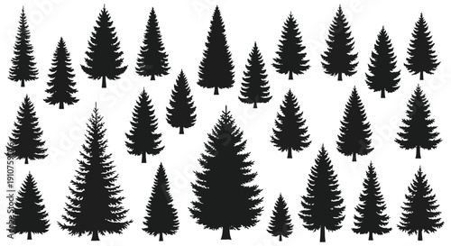 Collection of Diverse Evergreen Pine Tree Silhouettes.