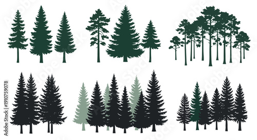 Collection of Evergreen Pine and Fir Tree Silhouettes.