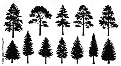 Collection of Diverse Pine and Fir Tree Silhouettes.