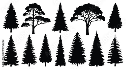 Collection of Diverse Evergreen Tree Silhouettes.