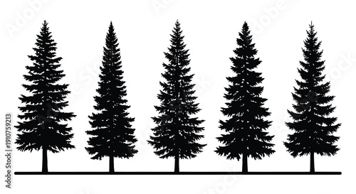 Collection of Five Black Silhouette Pine Trees Standing Tall.