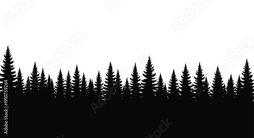 Silhouette of a dense evergreen forest landscape.