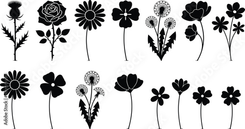 Flower silhouette vector set with rose, daisy, dandelion, and thistle icons, black floral nature elements for decorative pattern and logo design.