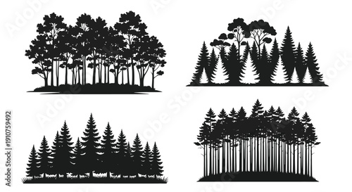 Collection of Four Silhouettes of Pine Forests.