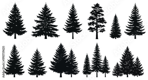 Collection of Diverse Pine Tree Silhouettes for Design.