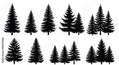 Collection of Silhouette Evergreen Pine Trees for Design.