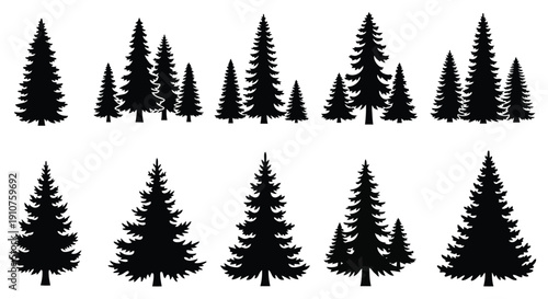 Collection of Black Silhouette Evergreen Pine Trees.