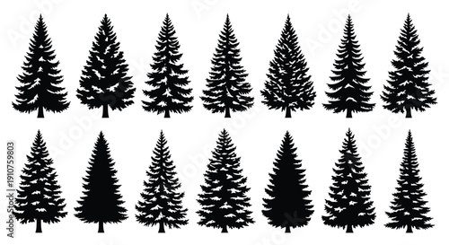Collection of Diverse Evergreen Pine Tree Silhouettes.