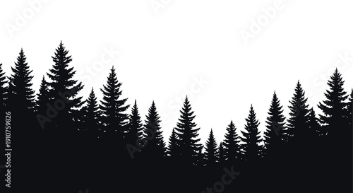 Silhouette of a dense evergreen forest landscape.