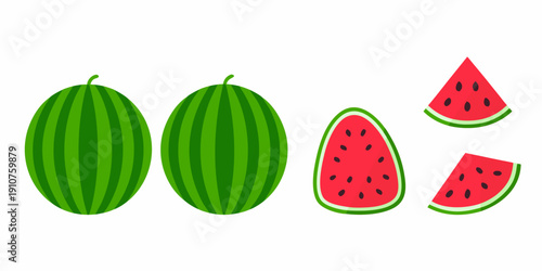 Colorful illustration of whole and sliced watermelons on a white background