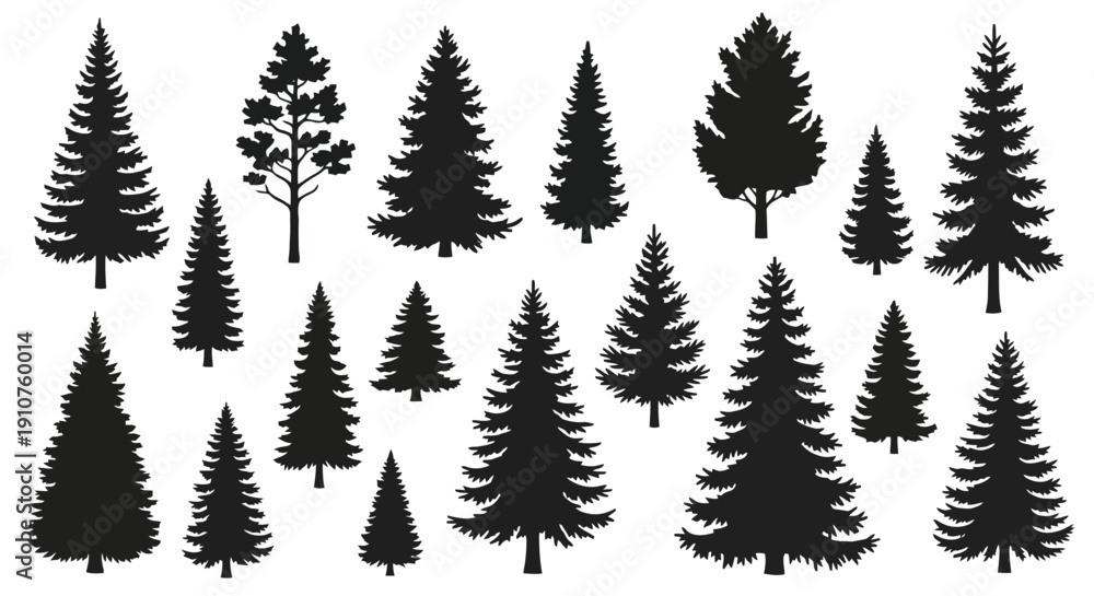 Fototapeta premium Collection of Diverse Evergreen Tree Silhouettes.