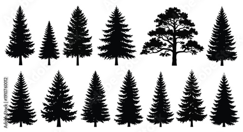 Collection of Diverse Evergreen Tree Silhouettes.